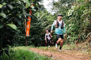 BIB: 
                            <button type="button" onclick="openModal(26434412)" class="btn btn-primary btn-sm float-right btn-popup" data-toggle="modal" data-target=".modal-high-quality">
                        <i class="fas fa-shopping-cart"></i> Add to Cart
                    </button>
                                            <button type="button" onclick="isThisMe(26434412, true)" class="btn btn-success btn-sm float-right btn-popup btn-isme hidden" data-toggle="tooltip" data-placement="bottom" title="นี่คือรูปของคุณใช่ไหม คลิกที่นี่เพื่อเอาเข้าอัลบั้ม">
                        <i class="fas fa-plus"></i> Add to album
                    </button>
                    <button type="button" onclick="isThisMe(26434412, false)" class="btn btn-warning btn-sm float-right btn-popup btn-isnotme hidden">
                        <i class="fas fa-ban"></i> Remove from album
                    </button>